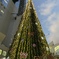 ドイツクリスマスマーケット