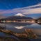 流木と富士山