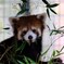 IMG_20191229_061817_322