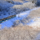 雪晴れの朝 V