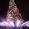 カラーオブクリスマス　(Color of Christmas)