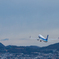 旅の空へ