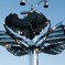 DSC00341_edited-1
