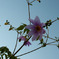 DSC00416_edited-1