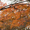 DSC00441_edited-1