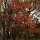 DSC00447_edited-1