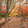 DSC00448_edited-1