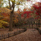 DSC00451_edited-1