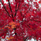 DSC00473_edited-1