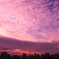 The Sunset 13