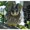 今年もよろしくお願いしまーす。