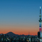 Sunset in Tokyo 2020