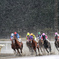 水沢競馬場