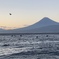 海散歩5