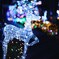 Crystal reindeer 