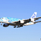 「ブルー」Flying Honu A380-841 Landing
