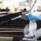 PENTAX-M 50mm F1.7