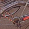 custom bike