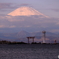 鳥居と灯台