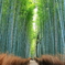 A Japanese way.