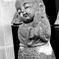 御仏の恵み