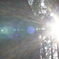 20200105 kotonomama kusunoki