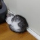 20191229_172621