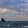 IMG_2206a