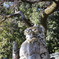 秩父神社の狛犬(左)