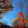 平林寺の紅葉　二