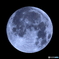 月齢15.56 満月