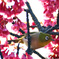 春を呼ぶ鳥