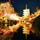 東寺