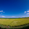 田園地帯