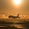 Thai Airways International