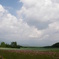 やわらかい風景