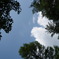 空の青さと