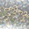 花かんざしと玉ボケ