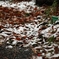 雪