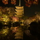 東寺×紅葉×ライトアップ×リフレクション