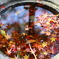 紅葉水鏡