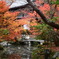 autumn a garden