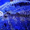 Caretta OCEAN Xmas 2010「BLUE OCEAN」