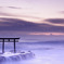 海原