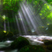 Pouring light