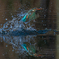 DSC00050