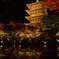 東寺×紅葉×ライトアップ②