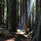 Northern California #4