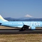 FDA✈️と冠雪の富士山