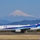 冠雪の富士山とANA…✈️